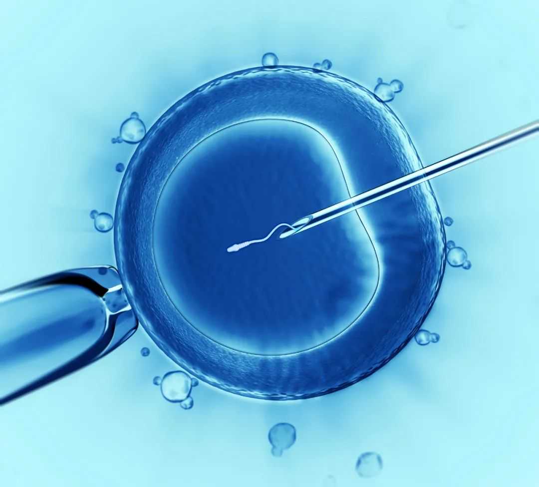 内蒙供卵试管可选性别，2024北京私立医院可以做供卵试管婴儿吗？需要什么条