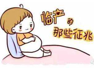 北京三代试管婴儿生龙凤胎的费用是多少